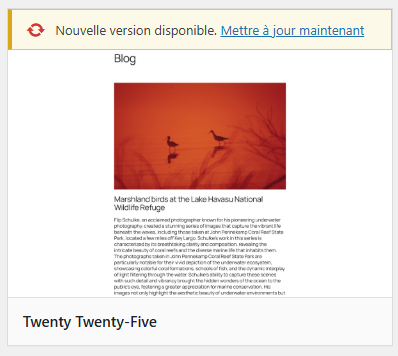 mise-a-jour-theme